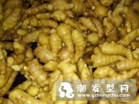 生姜洗发水适合什么人用 怎么自制生姜洗发水