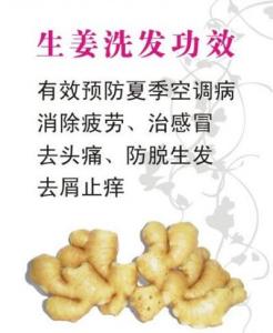 生姜洗发水适合什么人用 怎么自制生姜洗发水