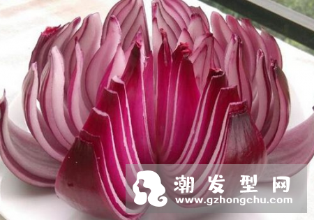 洋葱洗头治白发吗 生发吗