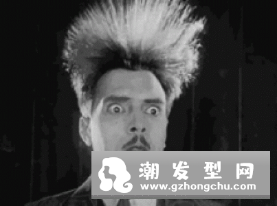 拒绝毛躁和枯发 不同发质的护理技巧