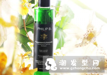 hilip B薄荷鳄梨丰盈洗发水怎么用 适合什么发质