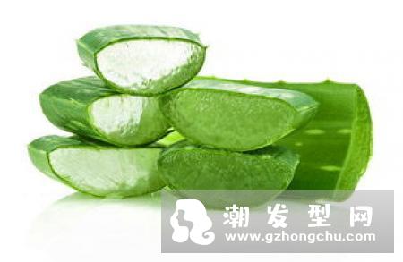 芦荟对头发有什么好处 芦荟洗头的正确方法