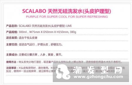 scalabo药用无硅洗发水DA怎么样 日本scalabo紫色洗发水产品介绍