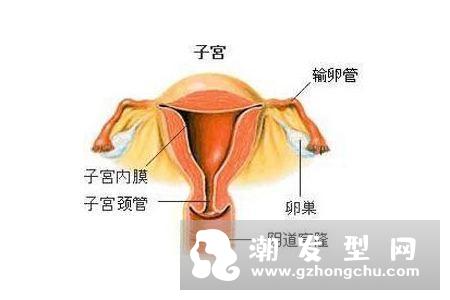 有发现最近头发变得稀疏吗?谁不想拥有一把长长的秀发