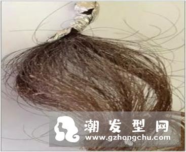 滋源生姜洗发水535ml(油性头皮适用)