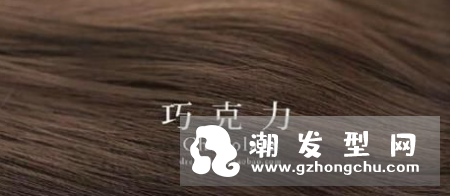 巧克力色头发在阳光下的颜色 和棕色的区别