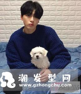 小奶狗发型怎么留 这样剪养眼又呆萌
