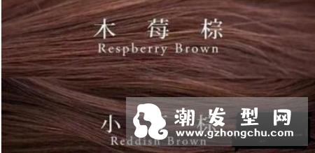 小豆棕发色适合黑皮肤吗 和木莓棕对比图片