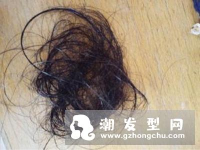 多食用黑豆,更可令头发变得乌黑有光泽_健康频道