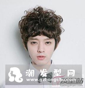 适合男生的烫发发型 小卷烫发减龄又洋气