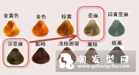 811染出来是什么颜色 亚麻色和深亚麻色有什么区别