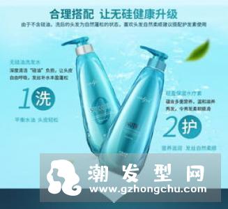 reveur无硅洗发水哪种颜色好?价格多少钱?