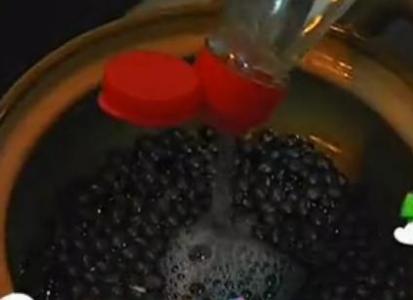 黑豆米醋染发效果如何 制作过程超详细