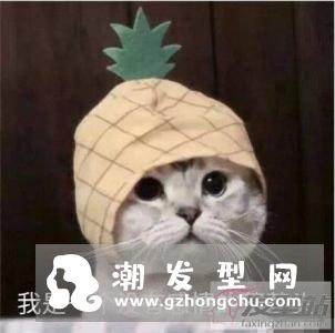 黄宗泽菠萝头成讨论焦点 网友：果然颜值高的啥发型也好看