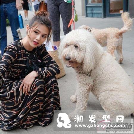 胖圆脸女生卷发怎么打理好看 学学周秀娜卷发造型有多种玩法