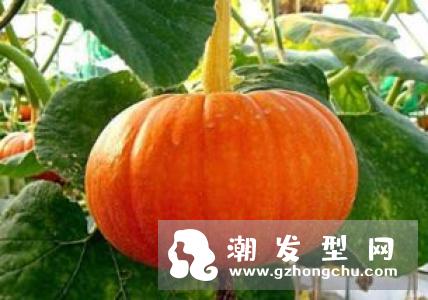 少年白头发是缺少什么元素 吃什么好