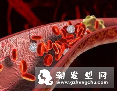 秋季护发重点分析 夏日发质损害赶快补回来！