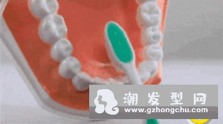 正确洗头发方法和步骤