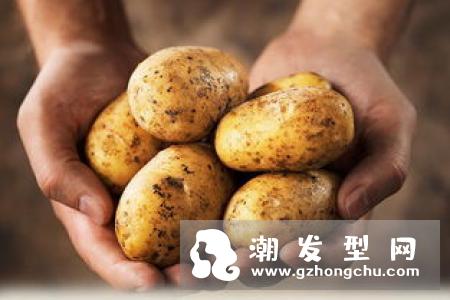 马齿苋洗头能变黑吗 怎么做