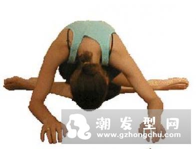 阴瑜伽适合初学者吗 有哪些体式