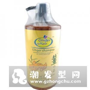 琴叶生姜洗发水多少钱 怎么使用
