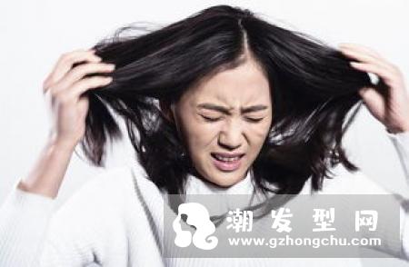 头发干燥易断怎么办 五分钟达人护发秘籍