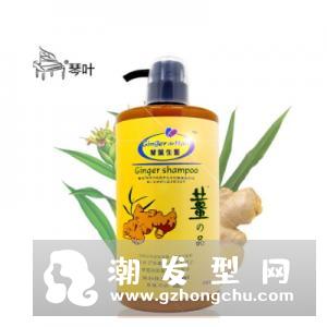 琴叶洗发水是哪国的 是几线品牌