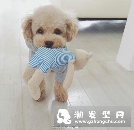 泰迪卷发型中长发 动感活泼瘦脸神器