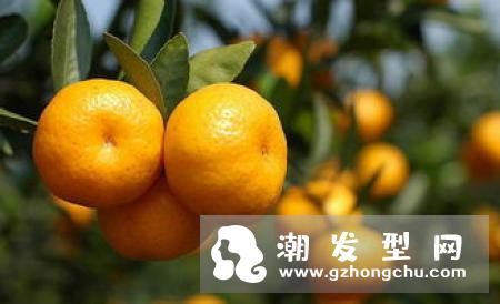 掉头发吃什么水果好 有利于防止脱发的水果