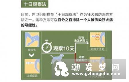 纠正护发错误方法 3种最基本的护发常识须知