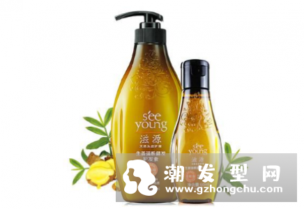 滋源护发素能碰头皮吗 多少钱