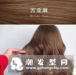 秋季染什么颜色好看 蜜糖棕色还是棕红色