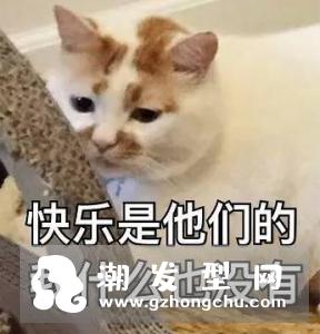 头发干枯发干枯没有光泽怎么办 干发护理技巧经验分享