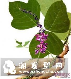 葛根木瓜粉怎么吃丰胸 什么时候吃