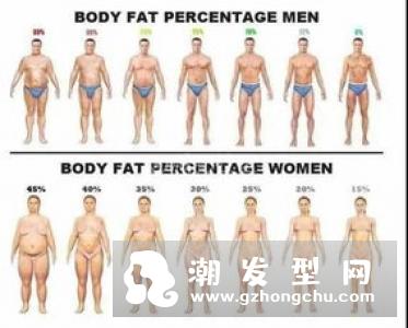 练马甲线会瘦肚子吗 体脂率多少有马甲线