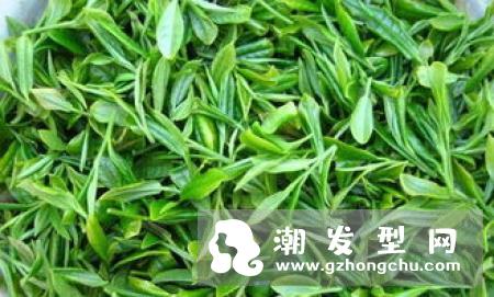 头螨不能用什么洗发水 大蒜洗头能去头螨吗