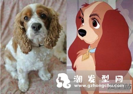 什么是可卡卷适合什么脸型？不但好驾驭还超显年轻