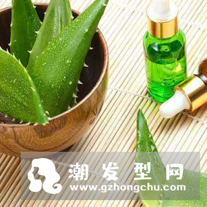 芦荟洗头的正确方法 擦头后要冲洗吗
