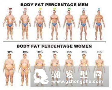 练马甲线会瘦肚子吗 体脂率多少有马甲线