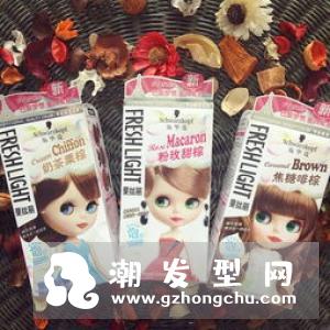 施华蔻斐丝丽泡泡染发剂怎么用 好用吗