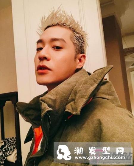 男士染什么颜色头发好看 白金、浅灰、浅啡色绝对是首选