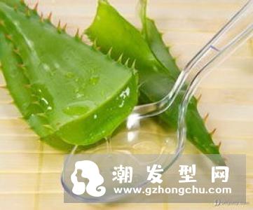 芦荟洗头的正确方法 擦头后要冲洗吗