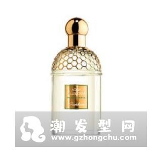 kenzo香水属于什么档次 哪一款好闻