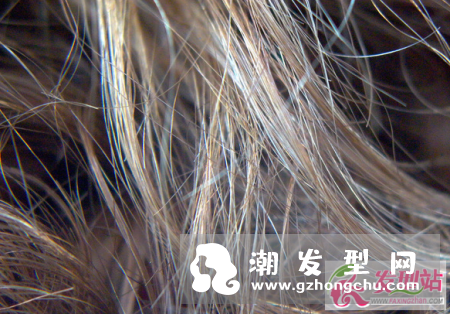 这三种洗头方法都不知道？多久洗一次头才对？