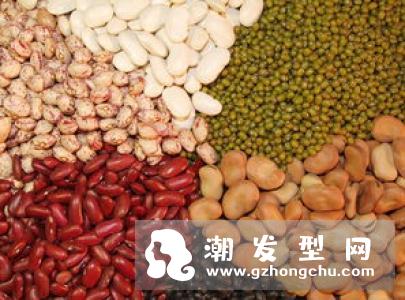蛋白质不足会导致脱发?吃什么食物可以有效防止脱发