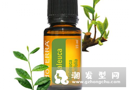 原液和精油哪个好 有什么区别