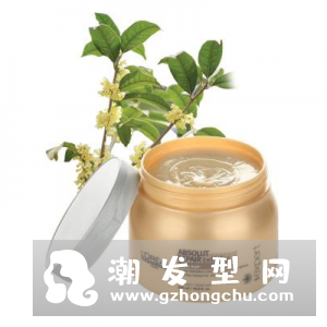 焗油膏是什么 可以天天用吗