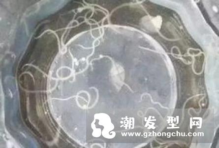 四个导致严重掉发的坏习惯 女生预防掉发方法