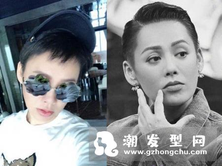 宁静最新机场短发是什么发型 同款boylish适合什么脸型