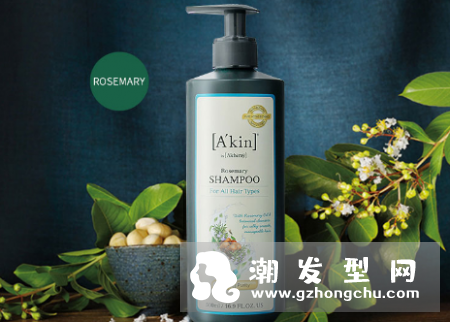 akin洗发水是哪个国家的 怎么样